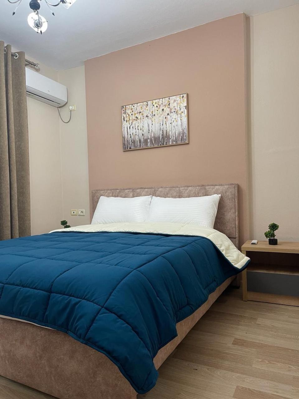Comfort Apartment City Center ティラナ エクステリア 写真